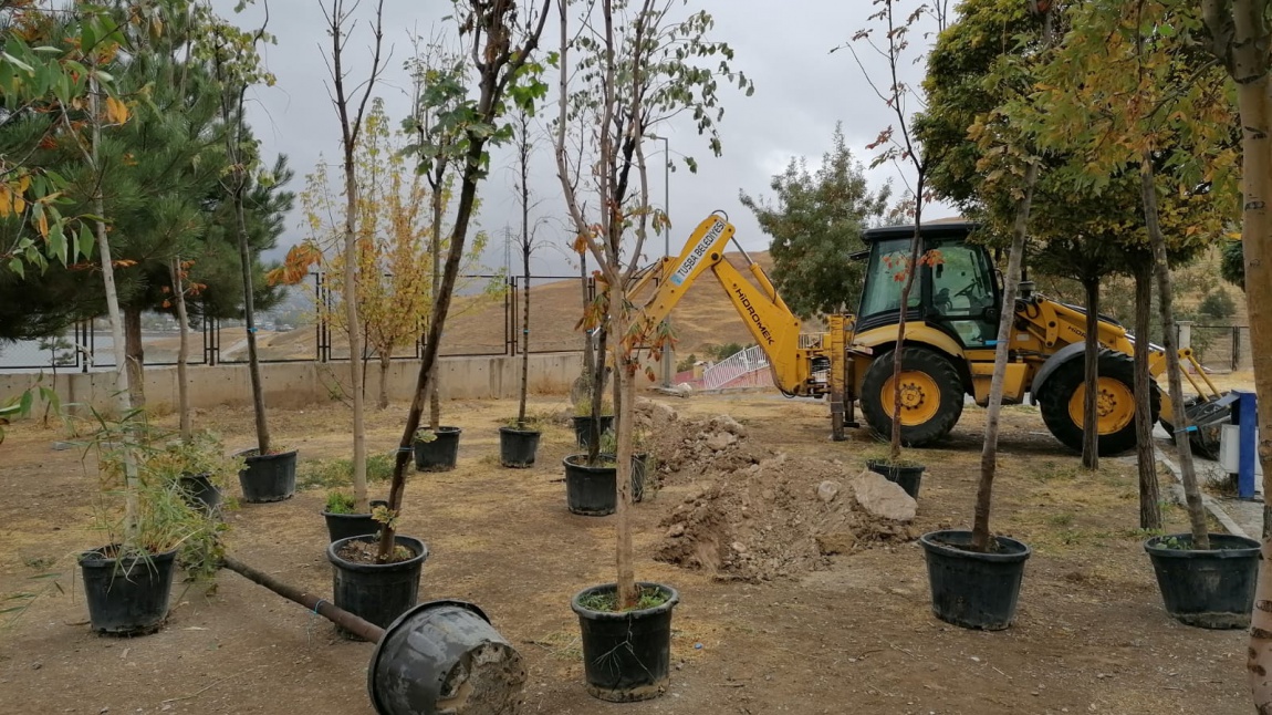 Okulumuzun Bahçesini Ağaçlandırma Çalışmalarımızdan Kareler